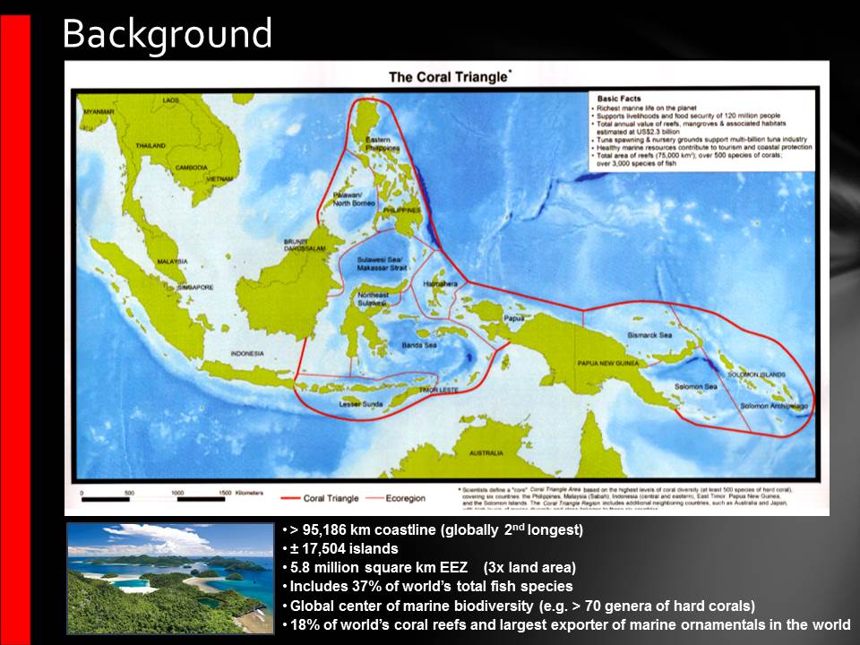 » Marine Protected Area Management In Indonesia: Towards An Effective ...