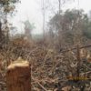 Foto 1 kebakaran lahan, lokasi lahan perkebunan sawit di kec. Siak hulu, Kampar, Prov. Riau