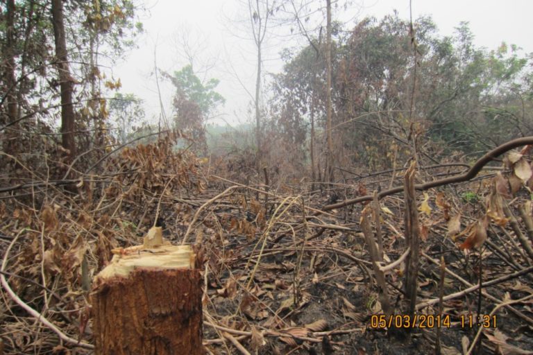 Foto 1 kebakaran lahan, lokasi lahan perkebunan sawit di kec. Siak hulu, Kampar, Prov. Riau